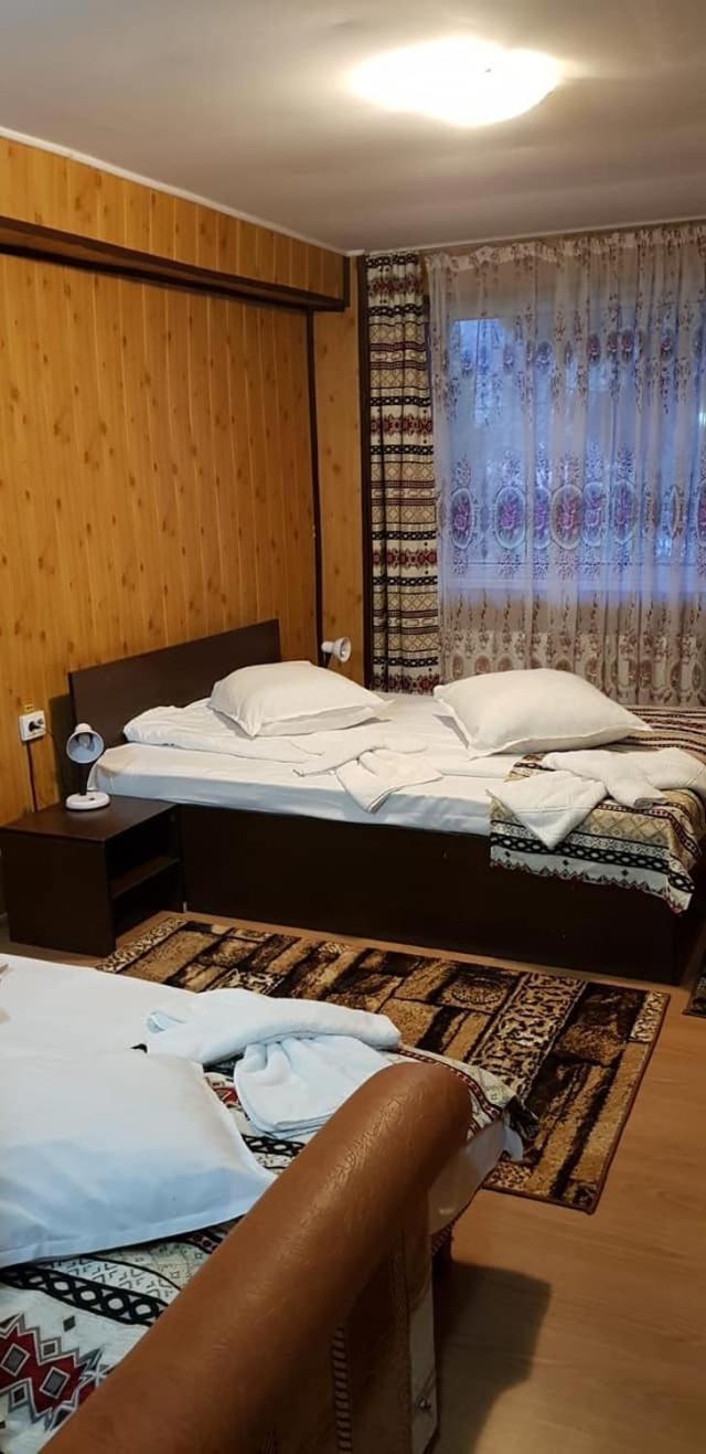 Vila Muntii Bucegi & Spa Bran  Exterior photo