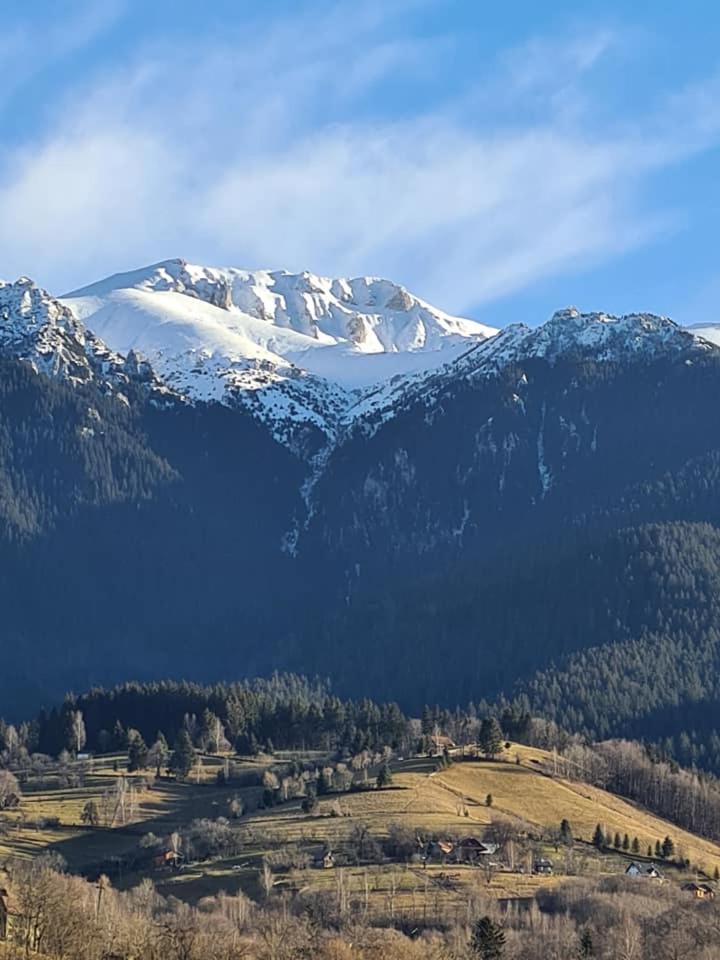 Vila Muntii Bucegi & Spa Bran  Exterior photo