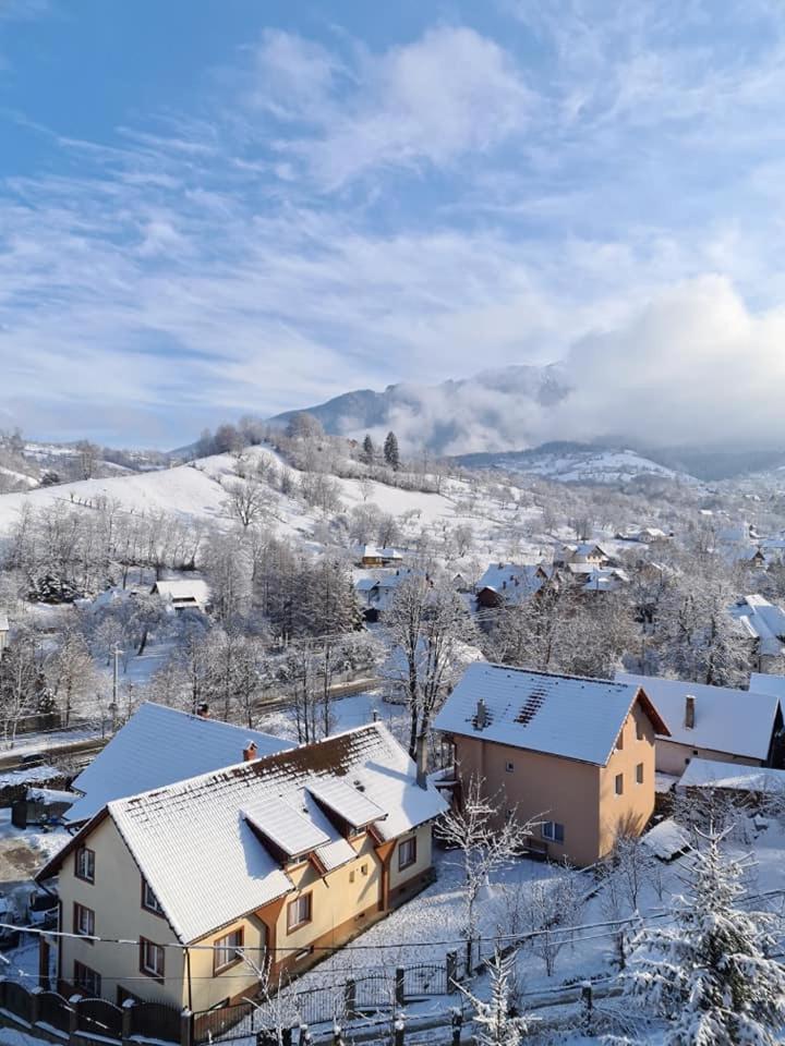 Vila Muntii Bucegi & Spa Bran  Exterior photo