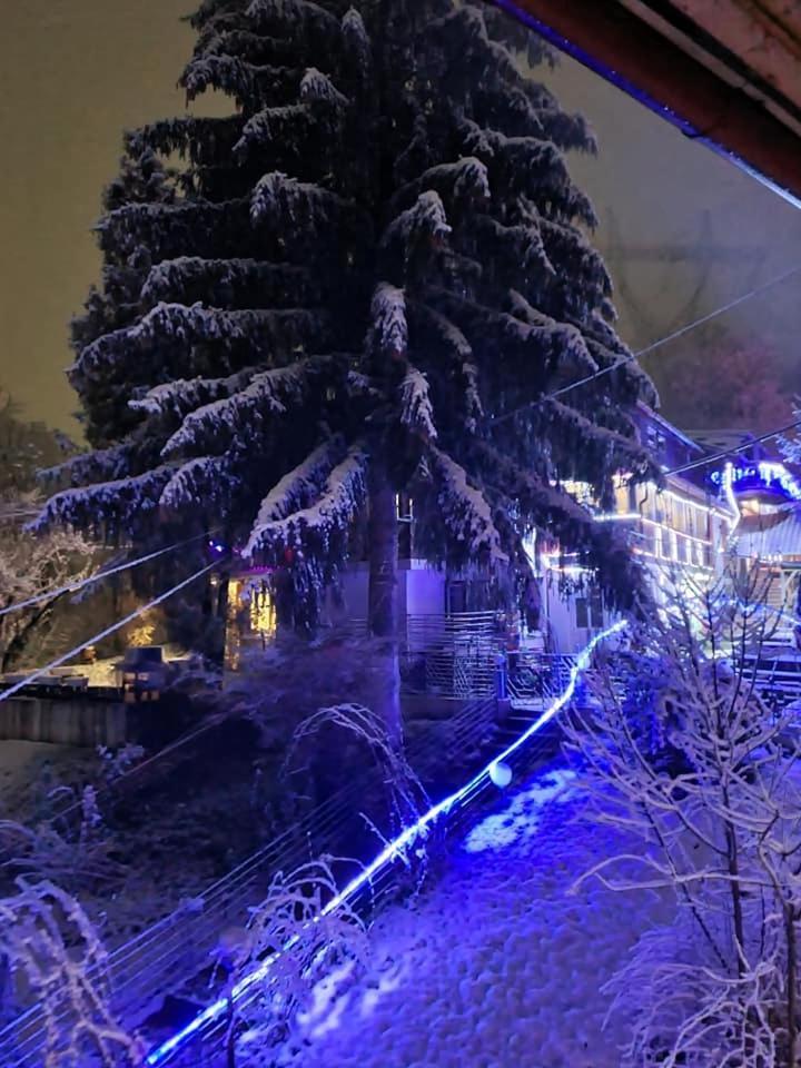 Vila Muntii Bucegi & Spa Bran  Exterior photo